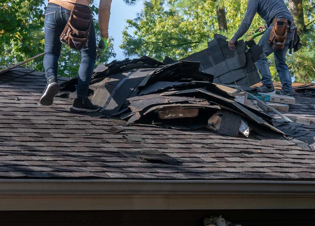 A homeowner uses a soft roof rake from a ladder to remove leaves from dry asphalt shingles.