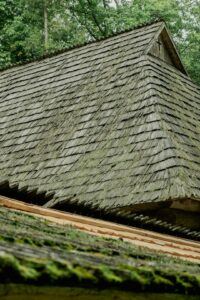 A homeowner examines dark roof stains with binoculars while moss and damp leaves collect near the shingles.